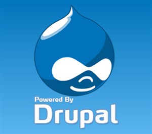 Xác định lỗ hổng XSS của module Drupal