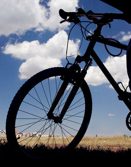 Công nghệ chụp ảnh bóng đổ ấn tượng