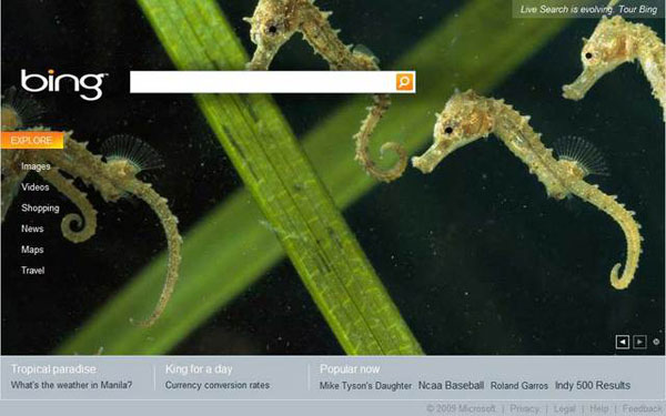 9 cách Microsoft đang thắng... và thua 