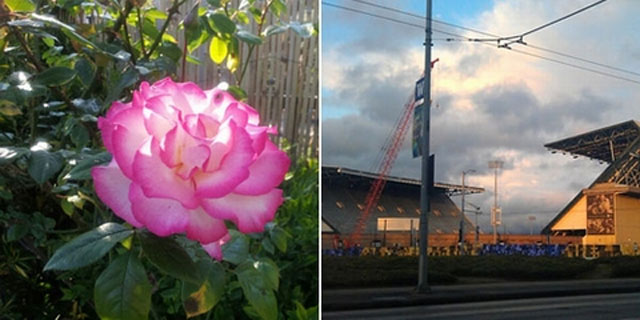 HTC Sensation "đối đầu" Samsung Galaxy SII