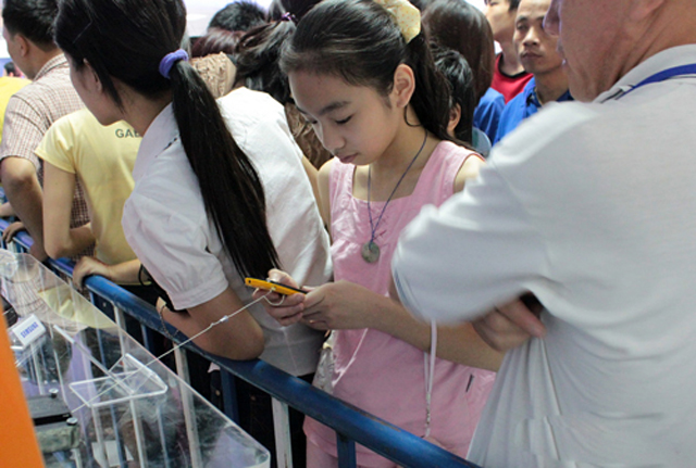 Xếp hàng qua đêm chờ mua Corby II