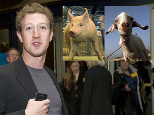 Thách thức ăn uống kỳ quặc của Mark Zuckerberg