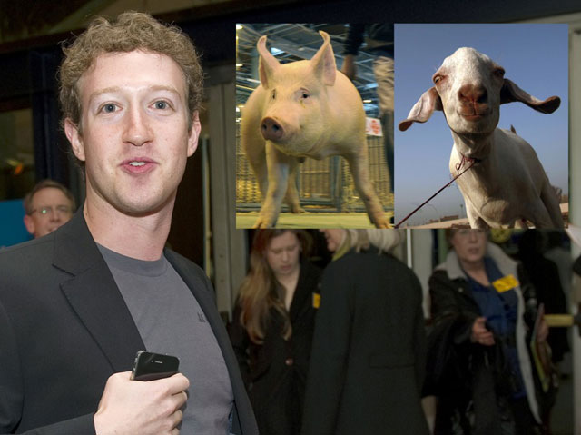 Thách thức ăn uống kỳ quặc của Mark Zuckerberg