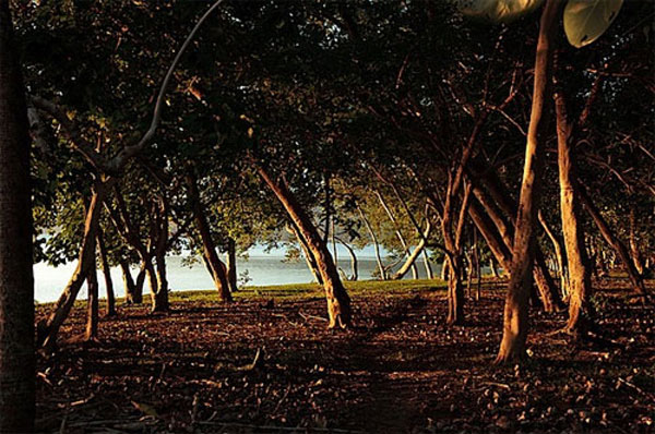 5 tình huống xử lý ánh sáng tự nhiên