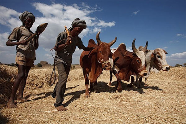 5 tình huống xử lý ánh sáng tự nhiên