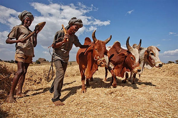 5 tình huống xử lý ánh sáng tự nhiên