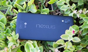 Google sắp từ bỏ thương hiệu Nexus