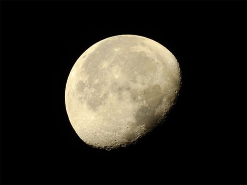 Máy ảnh Nikon Coolpix P900 Ảnh chụp bởi Coolpix P900