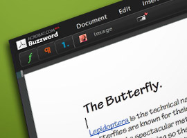 Acrobat Buzzword