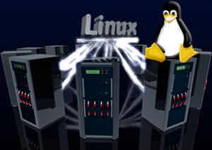 Chọn lựa Linux cho doanh nghiệp của bạn