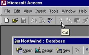 MS Access 2003 - Bài 2: Sử dụng môi trường Access