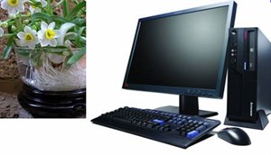 10 bí quyết chống bức xạ máy tính, laptop giúp bảo vệ sức khỏe