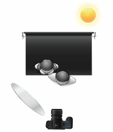 6 kiểu chiếu sáng chụp chân dung