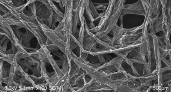 Công nghệ pin làm từ gỗ và Natri  Phát triển công nghệ pin mới có tuổi thọ cao từ gỗ và Natri