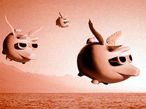 CEO của Xiaomi tiết lộ bí quyết thành công với triết lý “lợn bay” Ngay cả một con lợn cũng có thể bay nếu nó đứng ở trung tâm của một cơn lốc