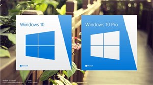 Microsoft có thể bán bộ cài Windows 10 dưới hình thức USB