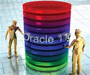 Một loạt sản phẩm Oracle mắc lỗi nghiêm trọng