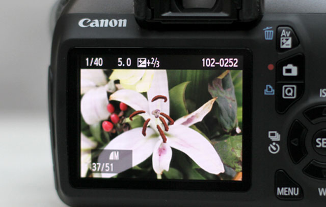 Đánh giá Canon EOS 1100D