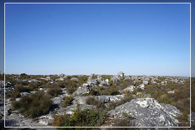 Đánh giá Canon EOS 1100D