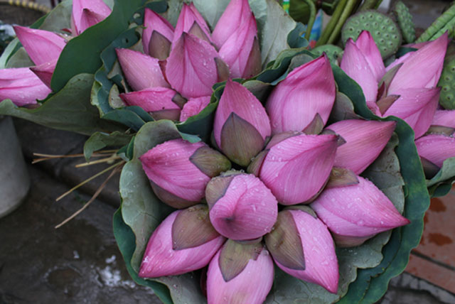 Đánh giá Canon EOS 1100D