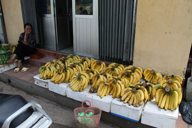 Đánh giá Canon EOS 1100D