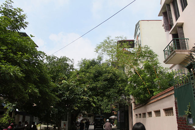 Đánh giá Canon EOS 1100D