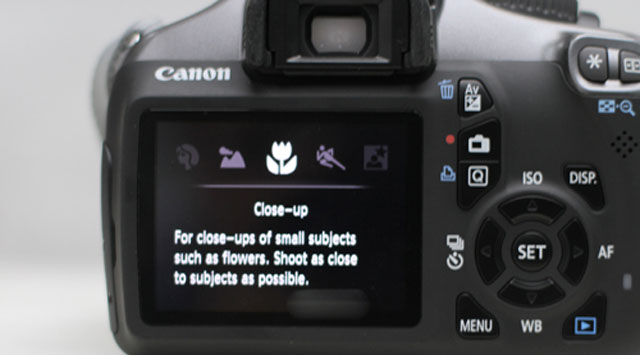 Đánh giá Canon EOS 1100D