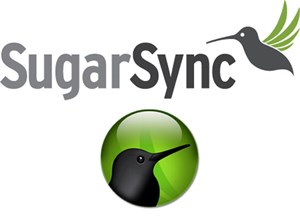 Sugarsync nhận khoản đầu tư trị giá 10 triệu USD