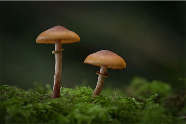 10 lý do chân máy cần cho ảnh phong cảnh