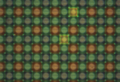 Hệ thống lấy nét của Canon 650D giống Nikon 1