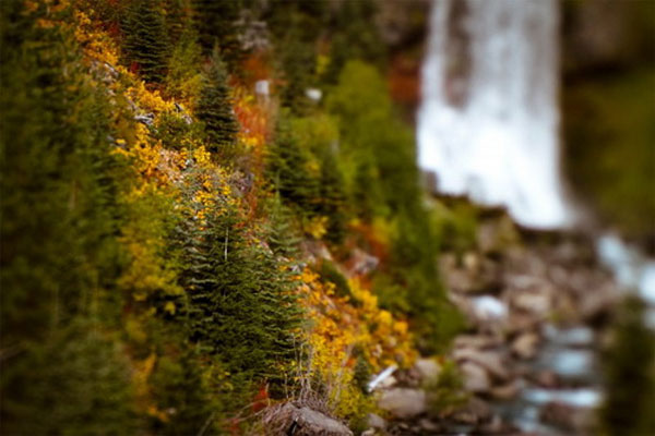 Mang phong cách Instagram vào máy ảnh DSLR