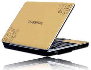 Bộ sưu tập Toshiba Satellite L310-P4013 bọc da chạm khắc