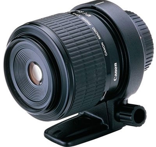 Tìm hiểu chụp cận cảnh - Đầu tư ống macro đúng nghĩa