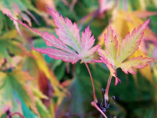 8 điều nhỏ cần biết khi chụp ảnh