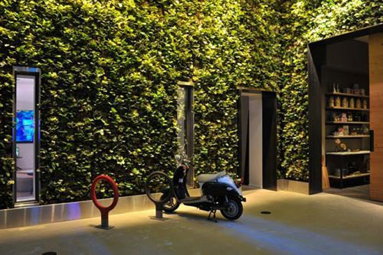 Một chiếc xe cổ bên rặng thường xuân dùng để trang trí cho tòa nhà. Cận cảnh trụ sở khổng lồ đẹp như mơ của Microsoft