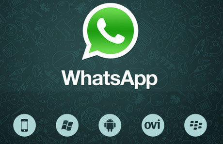 WhatsApp WhatsApp đạt mốc 300 triệu người dùng hàng tháng