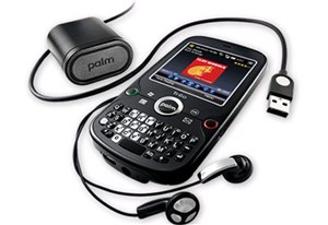 Palm thời thượng Treo Pro