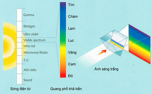 Lý thuyết màu trong PhotoShop cho người mới bắt đầu