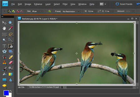 Adobe Systems trình làng Photoshop Elements 8
