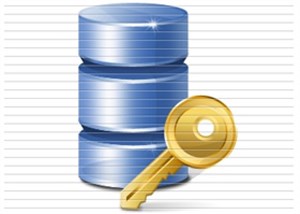 Tìm hiểu về khái niệm role trong SQL Server