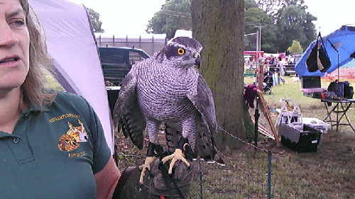 Optimus 3D 'đọ' camera với EVO 3D