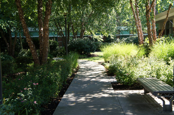 "Đột nhập" đại bản doanh của Microsoft