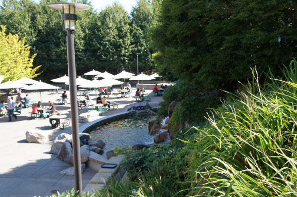 "Đột nhập" đại bản doanh của Microsoft