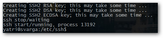 Tìm hiểu về OpenSSH trong Linux
