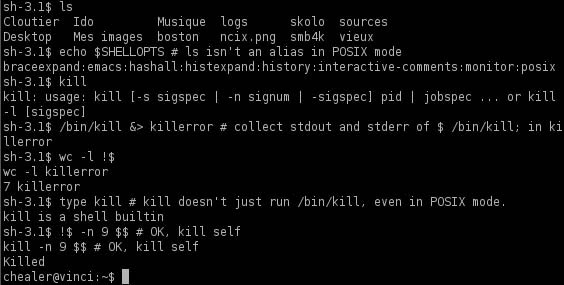 Giao diện terminal