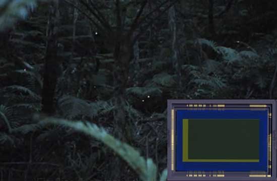 Canon khoe cảm biến full-frame có thể quay trong bóng tối