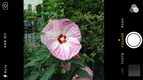 Chuyển sang chế độ Square (hình vuông) Cách dùng ứng dụng camera trong iOS 7