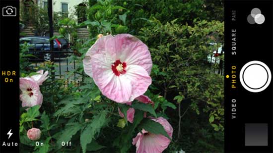 Bật Flash Cách dùng ứng dụng camera trong iOS 7