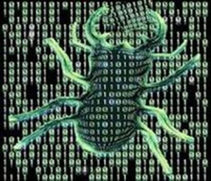 Mỹ: Lợi dụng cháy rừng để phishing