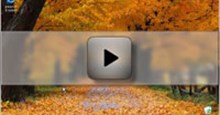 [Video] Tắt Autoplay trong Windows 10, XP